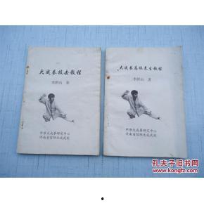 意拳技击视频,视频解析与实战应用