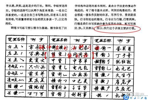 顾仲安视频,揭秘历史人物传奇人生