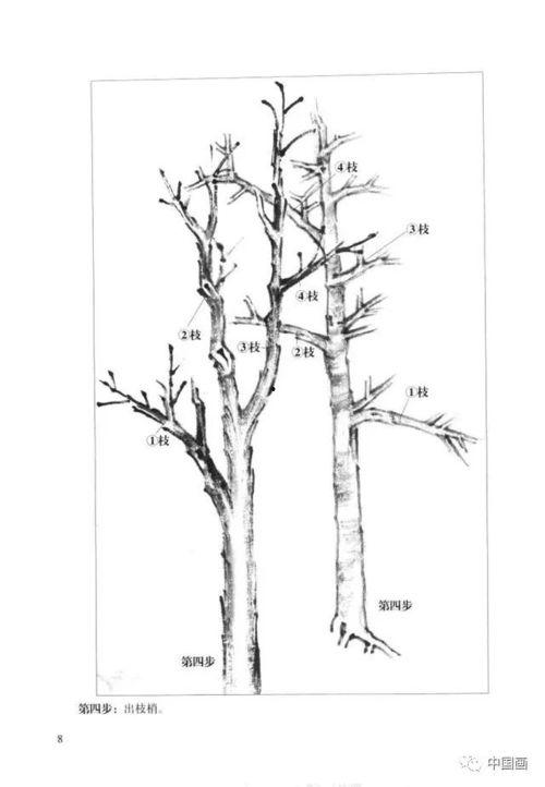 国画树木画法视频,一招一式解锁自然之美