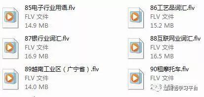 学习越南语视频,轻松入门越南语学习之旅