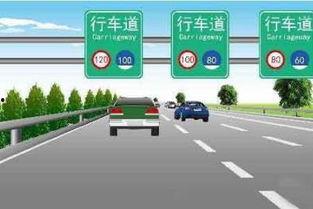 浙江科目三考试视频,实战演练，安全驾驶技能大比拼