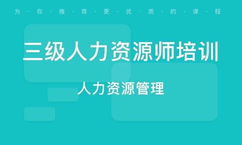人力资源三级免费视频,免费视频课程精华解析