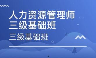 人力资源三级免费视频,免费视频课程精华解析