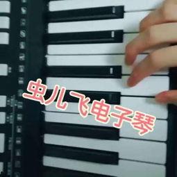 虫儿飞电子琴教学视频,轻松入门,享受音乐之美