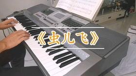 虫儿飞电子琴教学视频,轻松入门,享受音乐之美