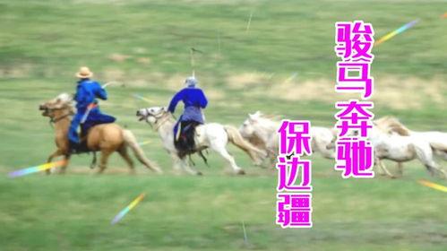 骏马奔驰保边疆视频