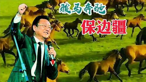 骏马奔驰保边疆视频